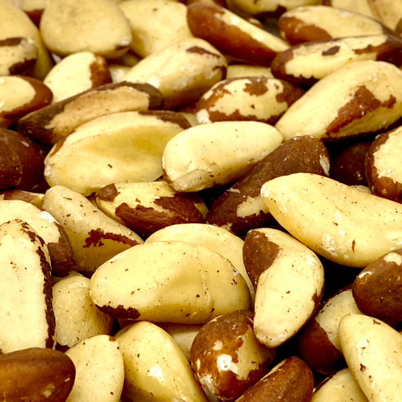 Brazil Nuts (Whole), Raw 8 oz. Bag